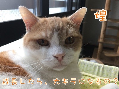煌70