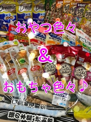 その他37