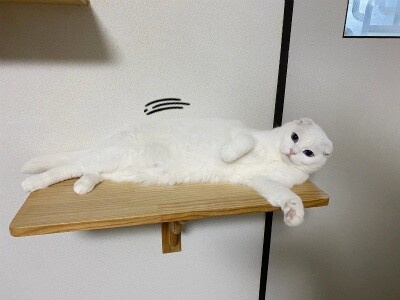殿953