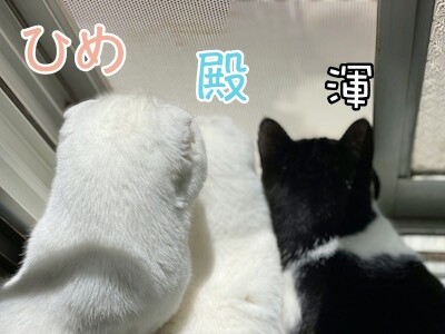 みんな304