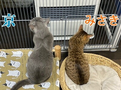みんな20