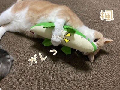 楓1065