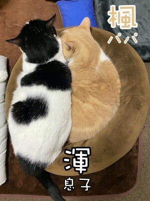 みんな1396