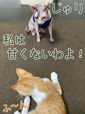 琢14