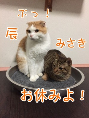 みんな667