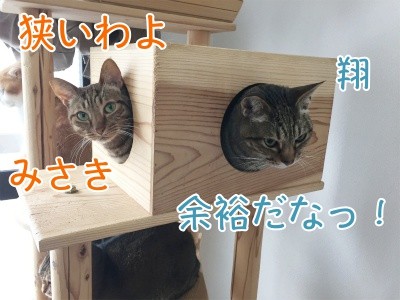 みんな807