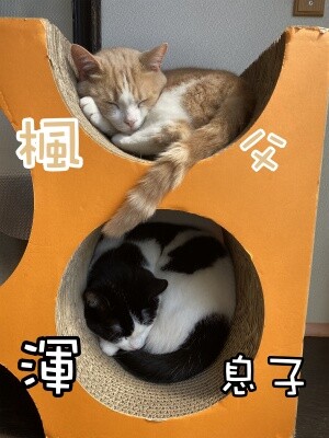 みんな1511