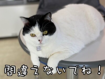 珠若775