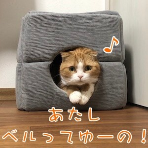 ベルビル186