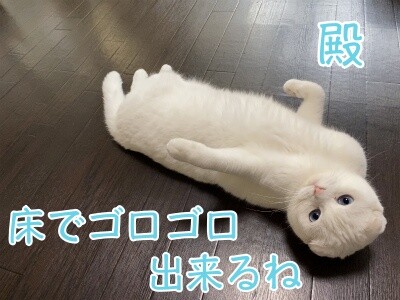 殿692