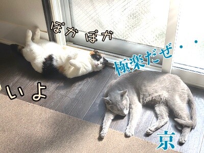 みんな2852