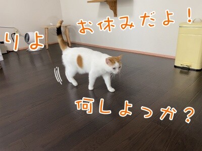 りよ194