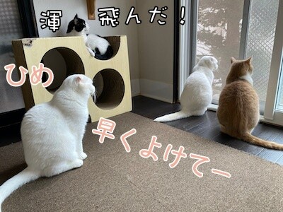 みんな182