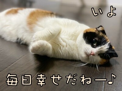 いよ561