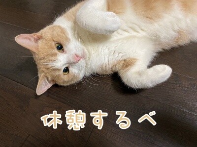 楓994
