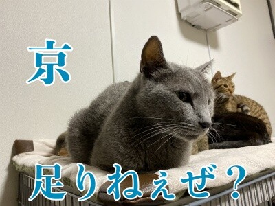 京315