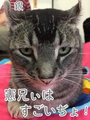 銀109