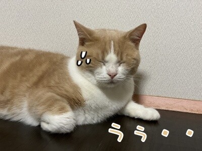 楓692