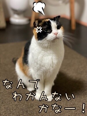 いよ480