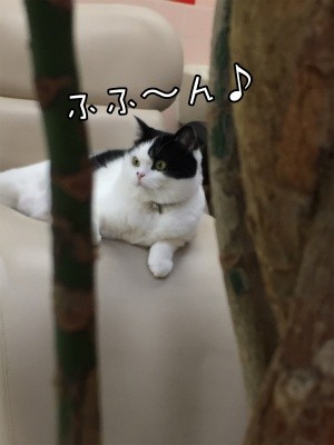 珠若471