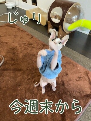じゅり80