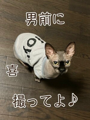 喜132