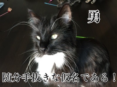 勇48