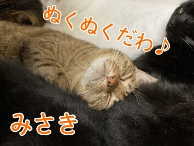 みさき230
