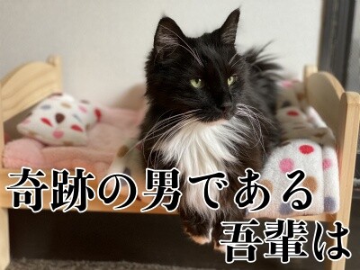 勇130