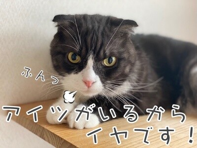 刻72