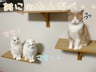 みんな2333
