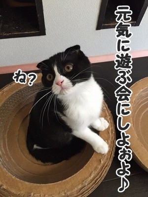 澪 (19)