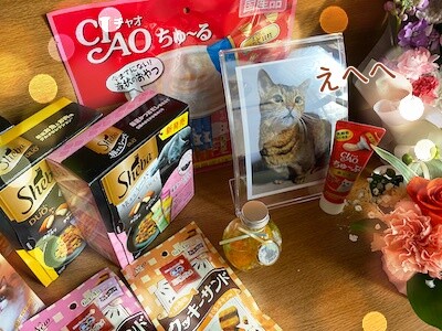 俊42