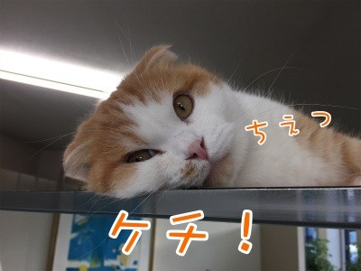 珠若191