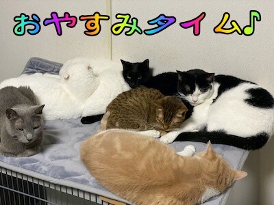 みんな1055