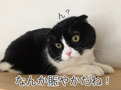 澪15