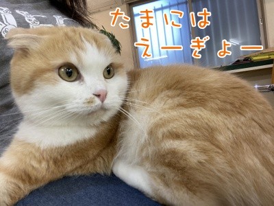 珠若504