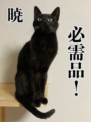 暁109