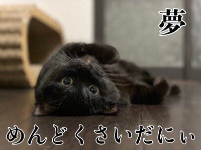 夢128