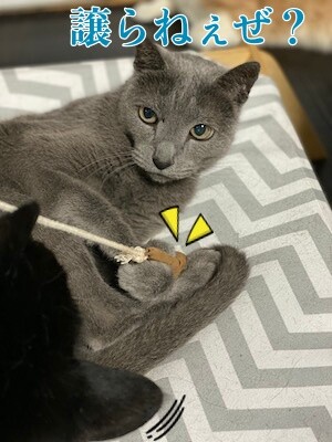 京38