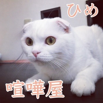 みんな1305