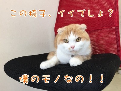 珠若93