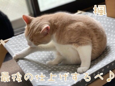 楓1145