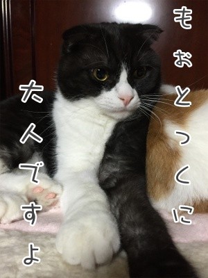 刻5
