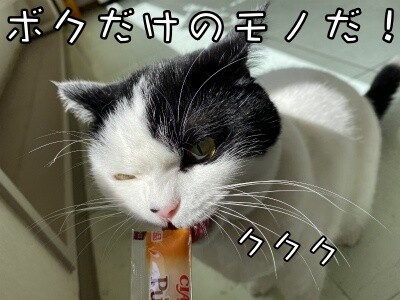 珠若585