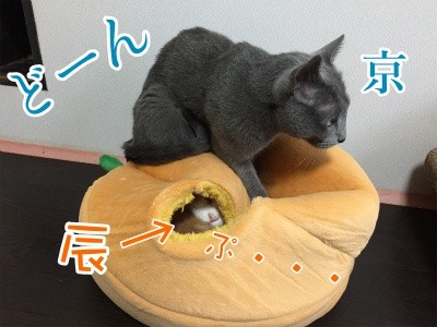 みんな715