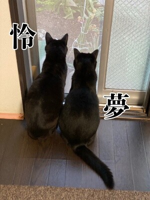 みんな1984