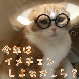 ベルビル185