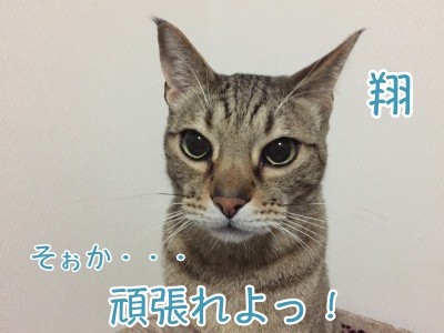 翔112