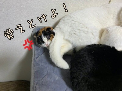いよ11